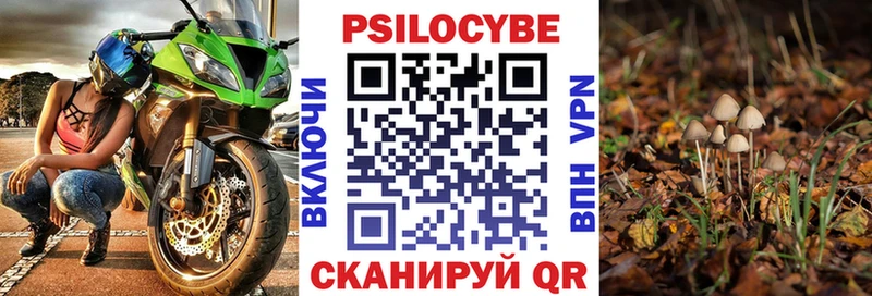 Галлюциногенные грибы Magic Shrooms блэк спрут как войти Отрадный