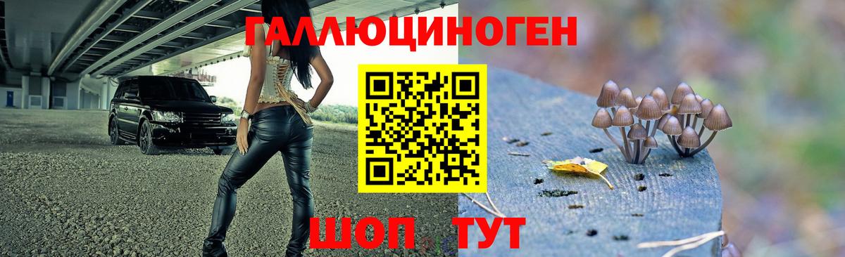 Псилоцибиновые грибы мицелий  Вход с VPN  где продают наркотики  Псилоцибиновые грибы Cubensis  Отрадный 