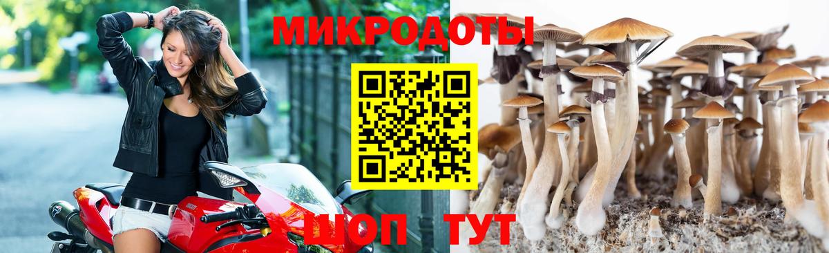 Галлюциногенные грибы MAGIC MUSHROOMS Отрадный