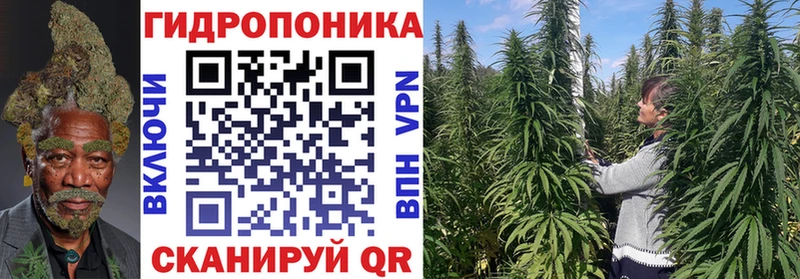 сколько стоит  Отрадный  Каннабис сатива 